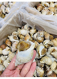 product-img-5