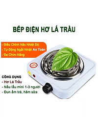 Bếp hơ lá trầu cho mẹ và bé sau sinh, bếp điện mini 1000W