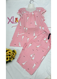 product-img-11