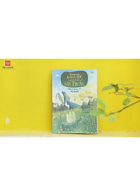 product-img-3