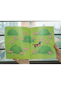 product-img-4