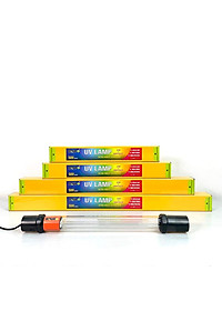 product-img-12