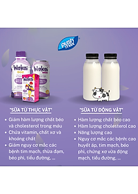 Thùng 24 Lon Sữa Chua Uống Từ Thực Vật Wakai Active (250ml x 24 lon)