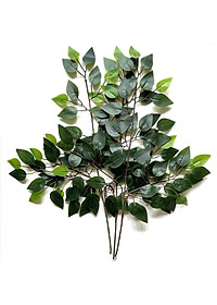 product-img-5