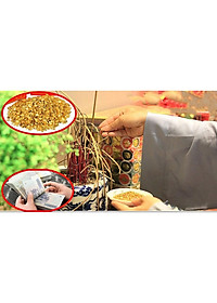 product-img-6