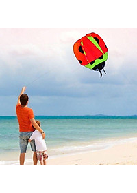 Diều khí động học cá voi - TẶNG tay cầm thả diều 150 mét dây + túi đựng diều (diều giá rẻ, diều thả, diều sỉ lẻ)