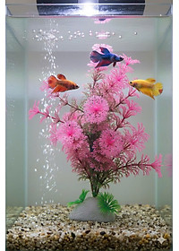 Cây Nhựa Trang Trí Bể Cá Thủy Sinh Lớn Tím Hồng Cao 20cm (Mã PK01)