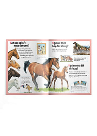 Bộ Em muốn biết vì sao - Bộ mới (Lựa chọn theo chủ đề)