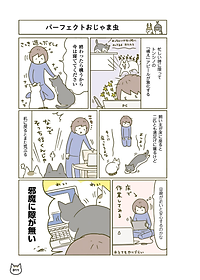 product-img-12