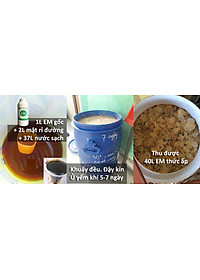 Combo 3 chai Chế phẩm sinh học EM gốc (1lit). Ủ phân cá, rác bã hữu cơ hoai mục không mùi hôi. Làm phân bón giàu dinh dưỡng cho cây trồng. Men vi sinh Đại Học Nông Nghiệp 1. HSD: 2 năm 