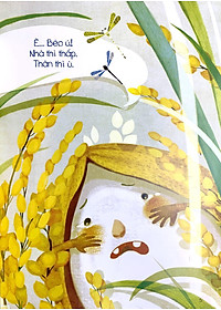 product-img-5
