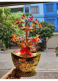 product-img-6
