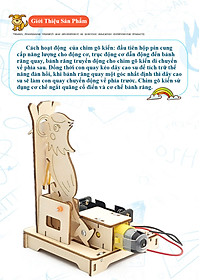 product-img-3