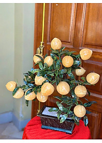 product-img-6