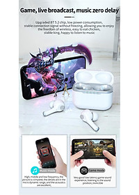 product-img-17