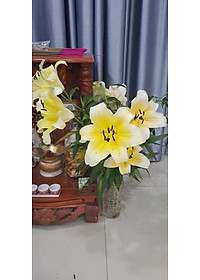 product-img-13