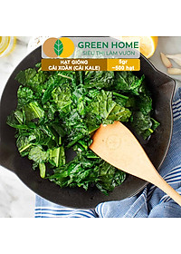 Hạt Giống Cải Xoăn Kale Greenhome, Gói 5g, Dễ Trồng Quanh Năm, Nảy Mầm Cao, Thu Hoạch Nhanh, Năng Suất Cao R16