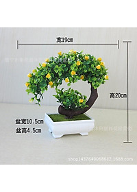 product-img-3