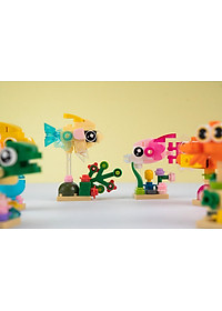product-img-16