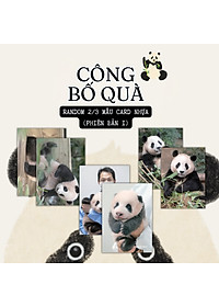 Sách Fubao Toàn Trí