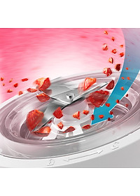 Máy Xay Sinh Tố Philips HR2041/30 (450W) - Hàng Chính Hãng