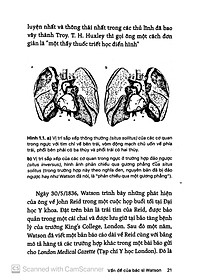 Sách Những Bí Ẩn Của Tay Phải Và Tay Trái