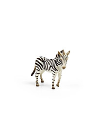 product-img-17