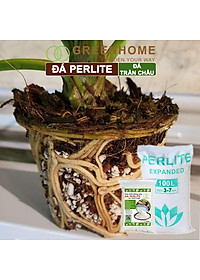 Đá Perlite Greenhome, Bao 300gr, Trồng Hồng, Thuỷ Canh, Giá Thể Trân Châu Giàu Khoáng Chất, Tăng Độ Tơi Xốp