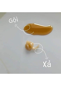 Bộ Dầu Gội và Xả Whoo Spa Shampoo & Rinse