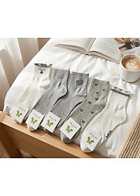 product-img-4