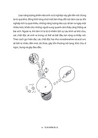 product-img-14