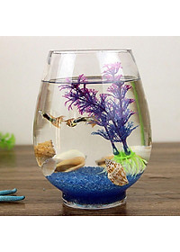 Chậu thuỷ tinh miệng khum chuyên dùng trồng cây thủy sinh, thủy canh, bình nuôi cá để bàn