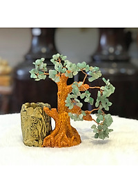 product-img-1