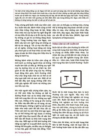 product-img-11