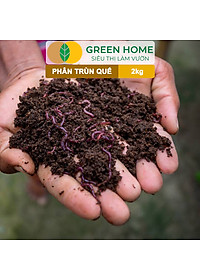 Phân Trùn Quế Greenhome, Bao 2kg, Dinh Dưỡng Hữu Cơ, Không Mùi, Tốt Cho Lan, Bonsai, Rau, Cây Ăn Trái