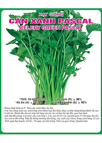 Hạt giống rau cần cọng xanh Pascal - cần tây VTP82
