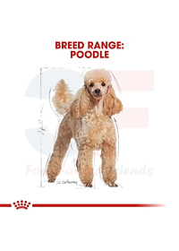 Pate Thức Ăn Ướt Xay Nhuyễn Dành Cho Chó Poodle Trưởng Thành Royal Canin Poodle Wet