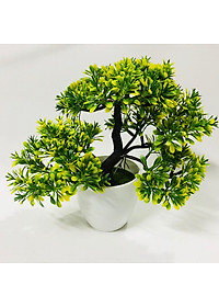 product-img-9