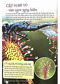 Sách Thực Vật Thần Kỳ