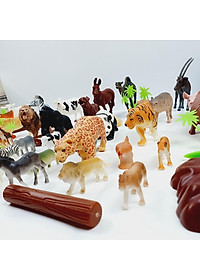 product-img-3