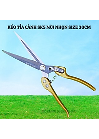 Kéo tỉa cây mũi nhọn cán bằng hợp kim dài 30cm kèm lò xo sơ cua