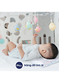 product-img-6