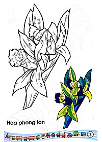 product-img-10