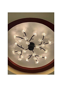 product-img-5