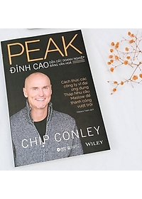 Đỉnh Cao Dẫn Dắt Doanh Nghiệp Bằng Văn Hóa - Cách Các Công Ty Vĩ Đại Ứng Dụng Tháp Nhu Cầu Maslow Để Thành Công