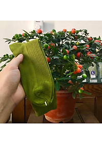 product-img-2