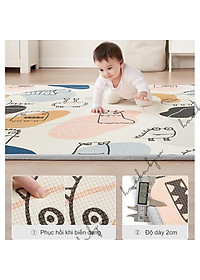product-img-9