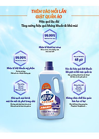 product-img-4