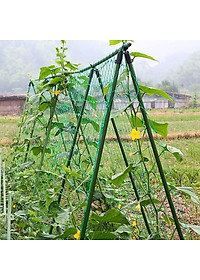 Lưới làm giàn cây leo, nhiều kích thước , độ bền cao, dễ lắp đặt, làm giàn bầu, mướp, bầu, bí