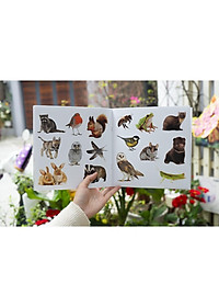 product-img-6